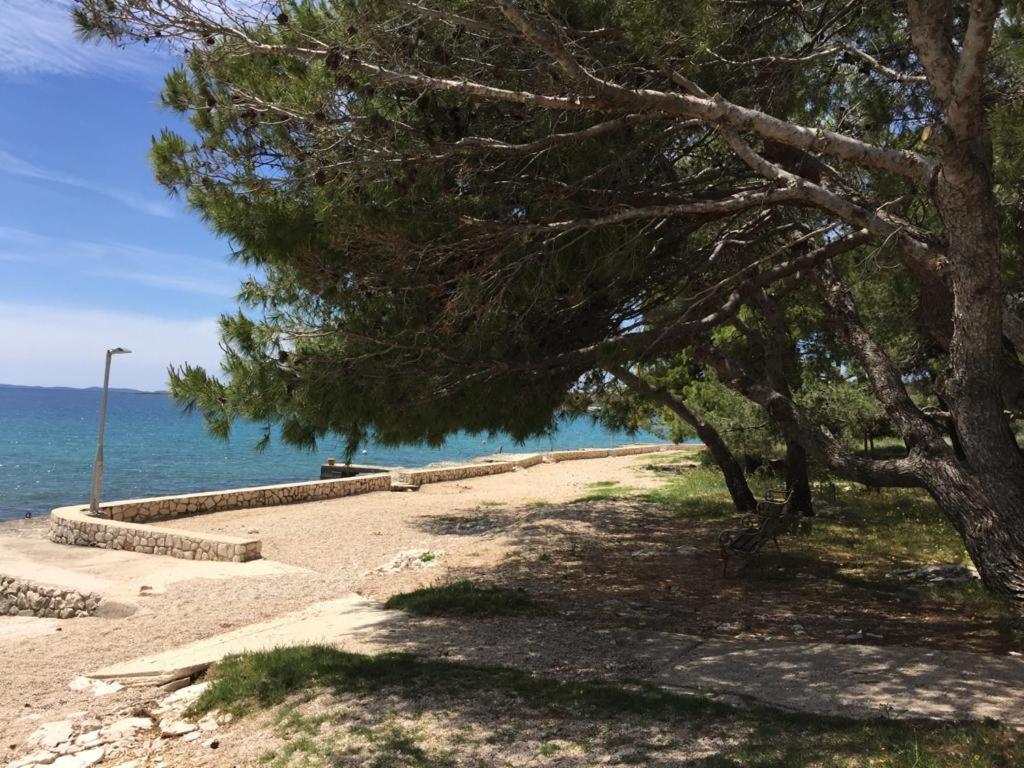 Villamar Košljun Rum bild